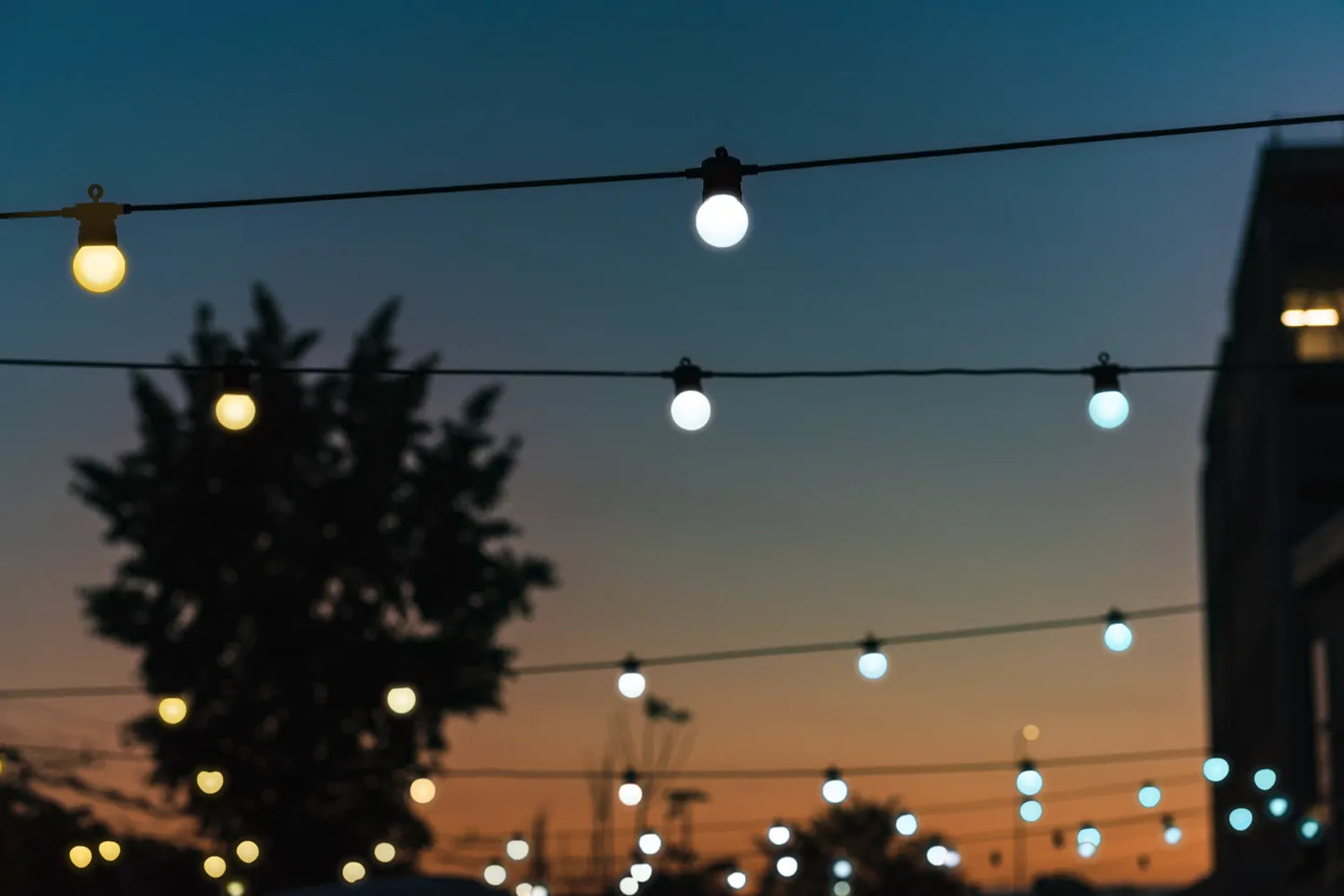 Twinkly Festoon AWW