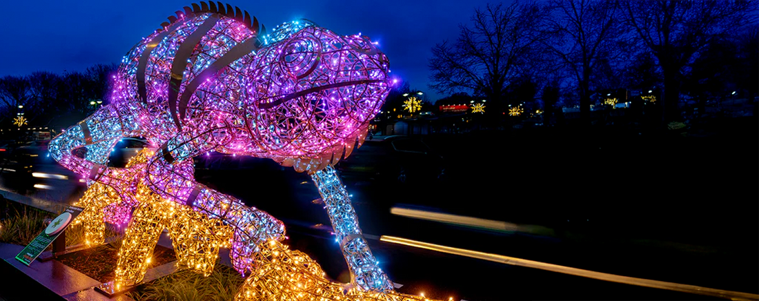 Iluminacje ogród botaniczny