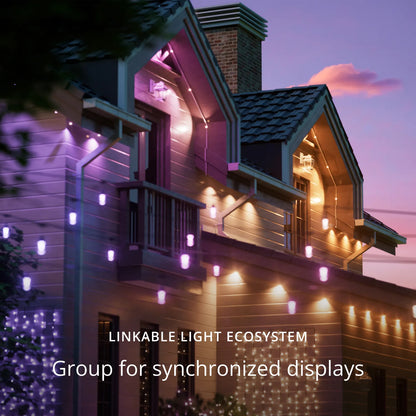 Twinkly Permanent Lights