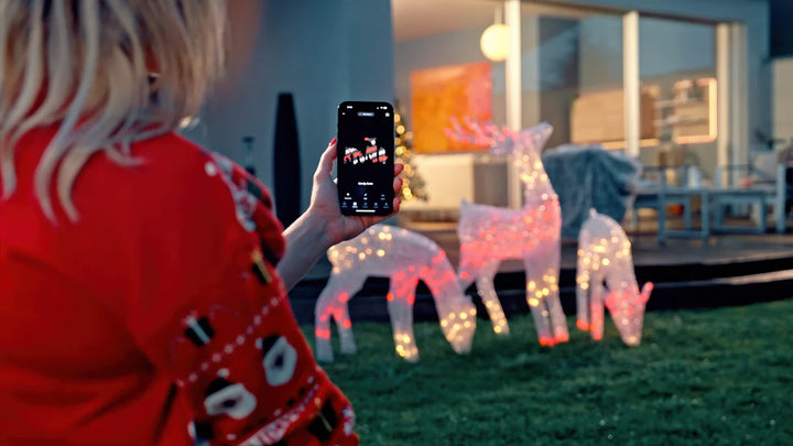 neloli☀︎ 03/07/2021 - premiera dwóch nowych wzorów. rektvasaki; nowa postać