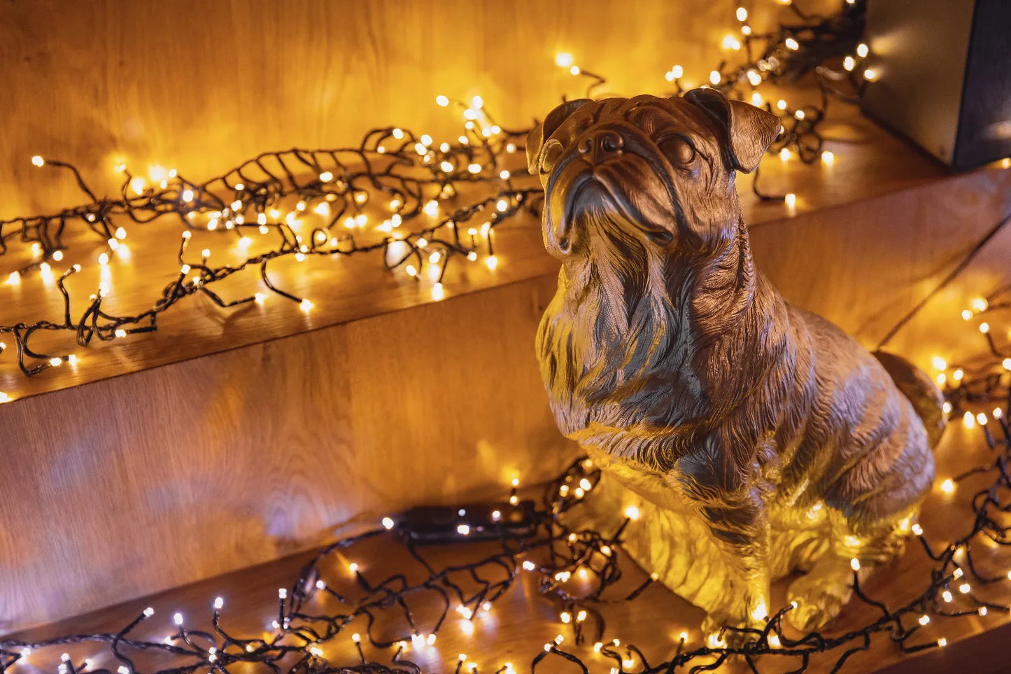 Twinkly Cluster AWW