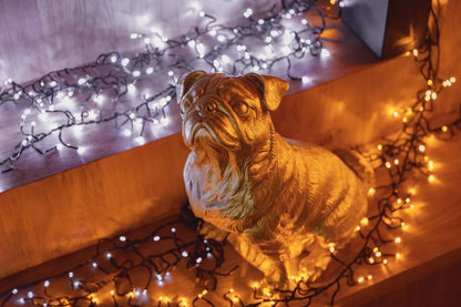 Twinkly Cluster AWW
