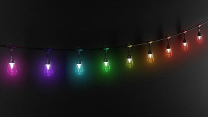 Twinkly Plus S14 Bulbs 40 LED RGBW 20m