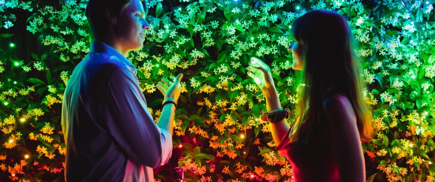 Dekoracja LED Twinkly Multicolor